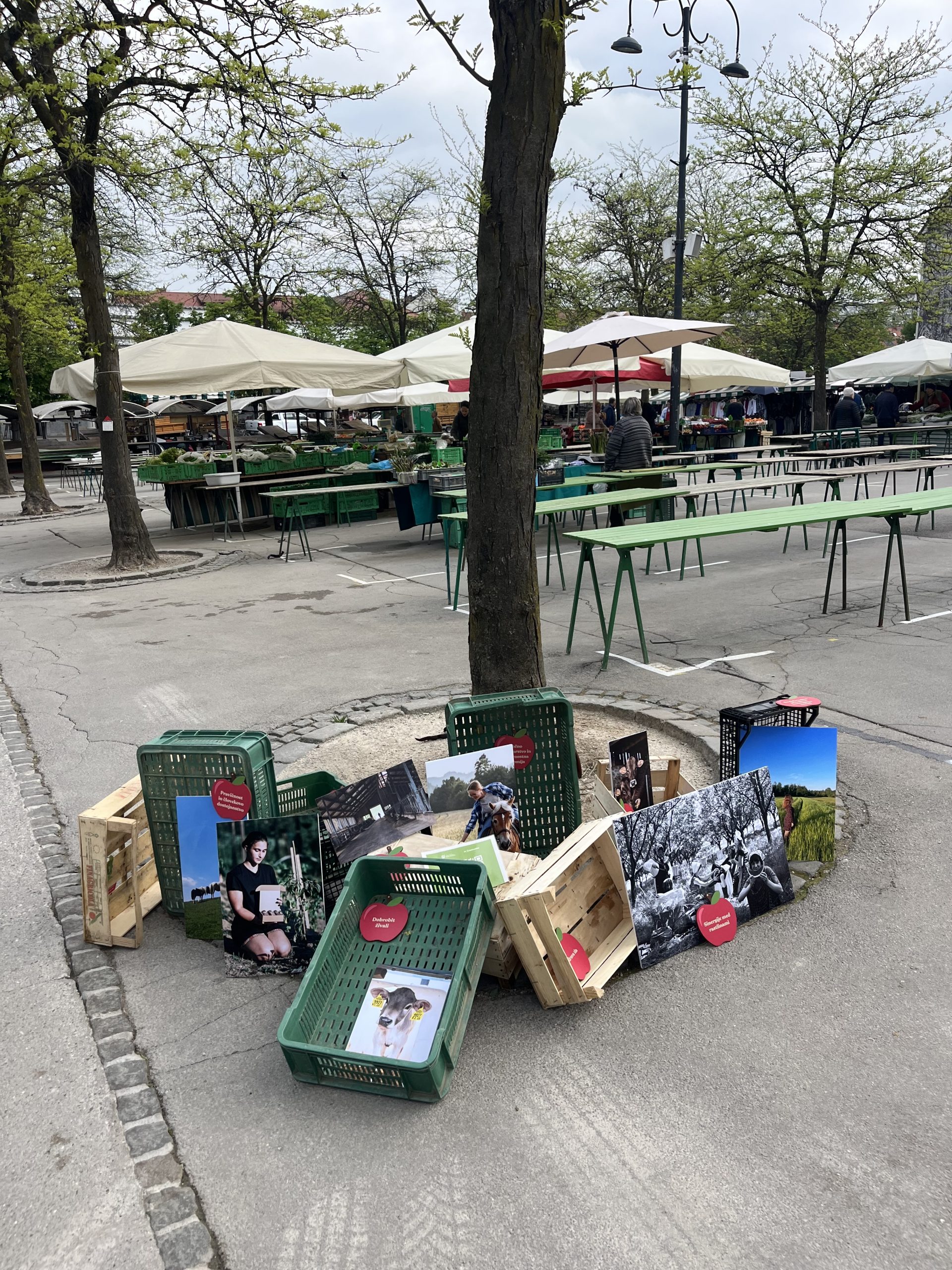 GLAS MLADIH: LOKALNA IN TRAJNOSTNA PREHRANA V SLOVENIJI – 1. DEL